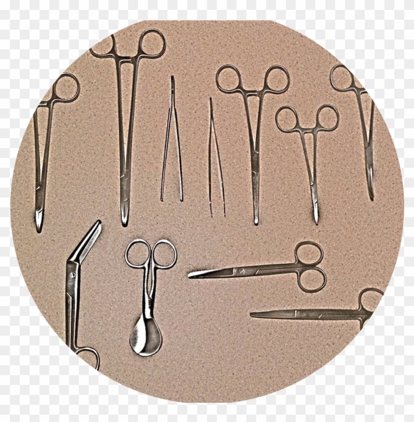 Hand Stamp Png , Png Download - Circle Clipart