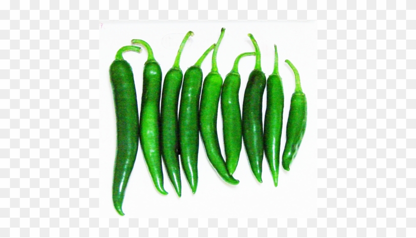 Dehydrated Chilli - Dehydrated Green Chilli Powder Clipart