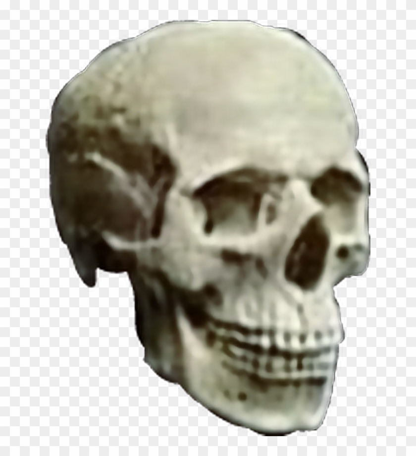 #skull #skulls #skeleton #head #heavymetal #heavy #metal - Skull Clipart #4233142