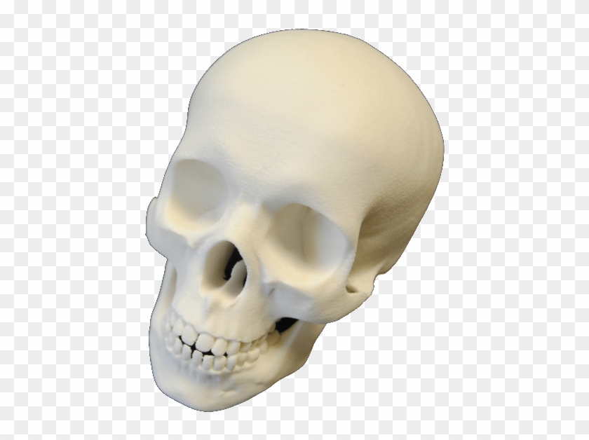 I Had Spent Most Of The Day Inputting Information Of - Skull Clipart