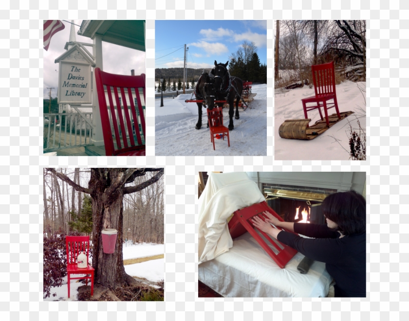 Picture - Tree Clipart #4234831