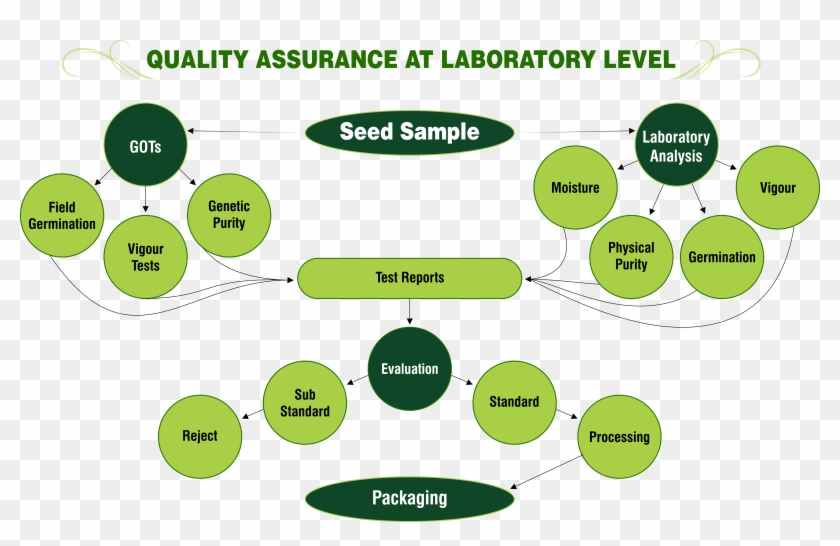 Quality Assurance At Laboratory Level Png - Quality In The Laboratory Clipart