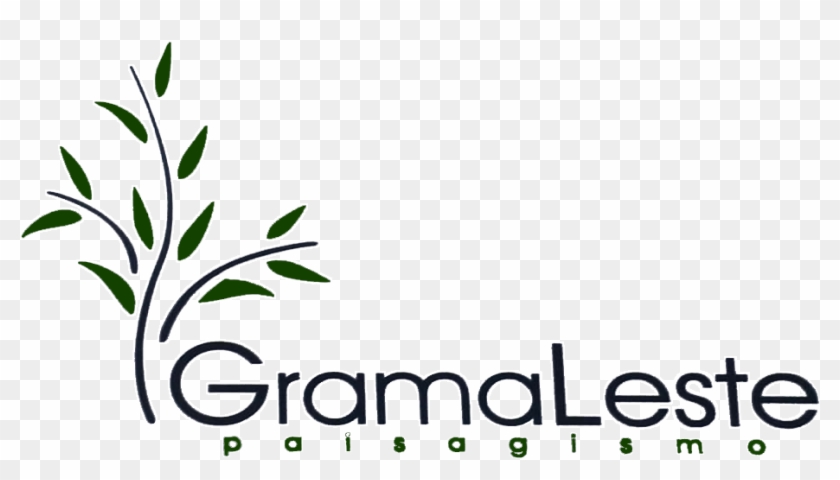 Grama Na Zona Leste Sp Clipart