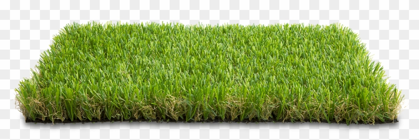 O Esplendor Do Verão Mediterrâneo - Grama Png Clipart #4236050