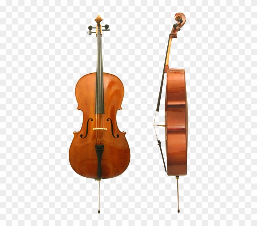 Dz Strad 101 Cello Clipart #4236191