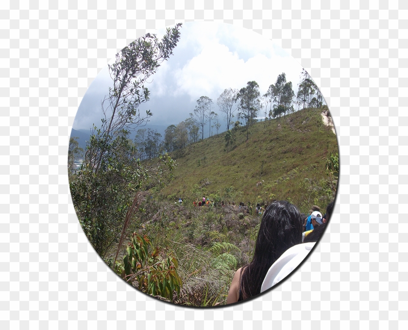 Entrando A Las Grietas De San Pedro @ricardo993 - Grass Clipart