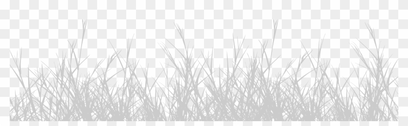 Grass Clipart #4236735