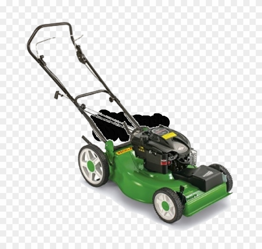 Comprar Cortador De Grama À Gasolina - Cortador De Grama Trapp Rm 600g Clipart