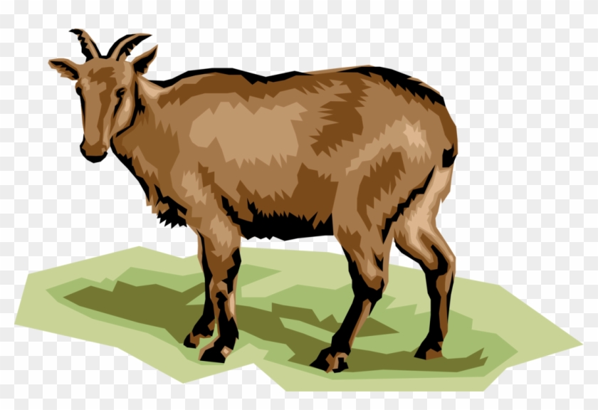 Vector Illustration Of Ruminant Mammal Deer - Goat Clipart