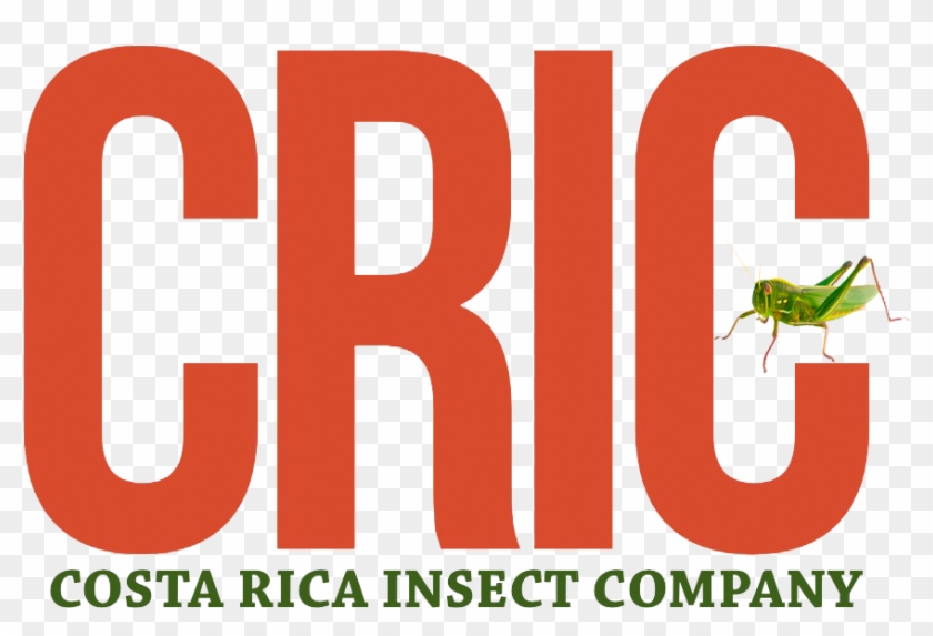 Products - Graphic Design Clipart