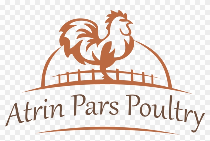 At Atrin Pars Poultry Logo One Will Find Thousands - Rooster Clipart #4239550