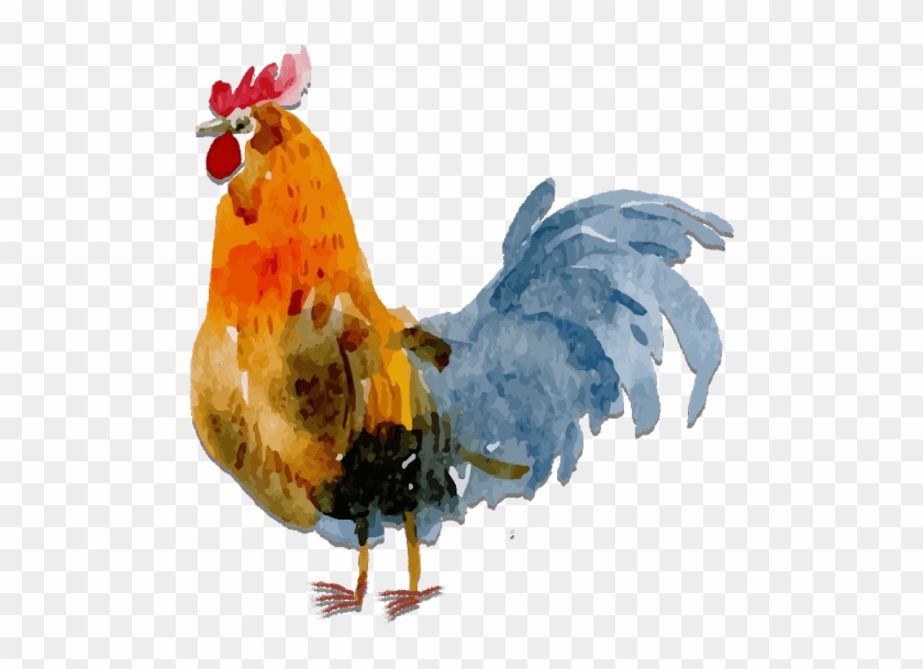 Hen Images Png - Farm Elements Watercolor Clipart