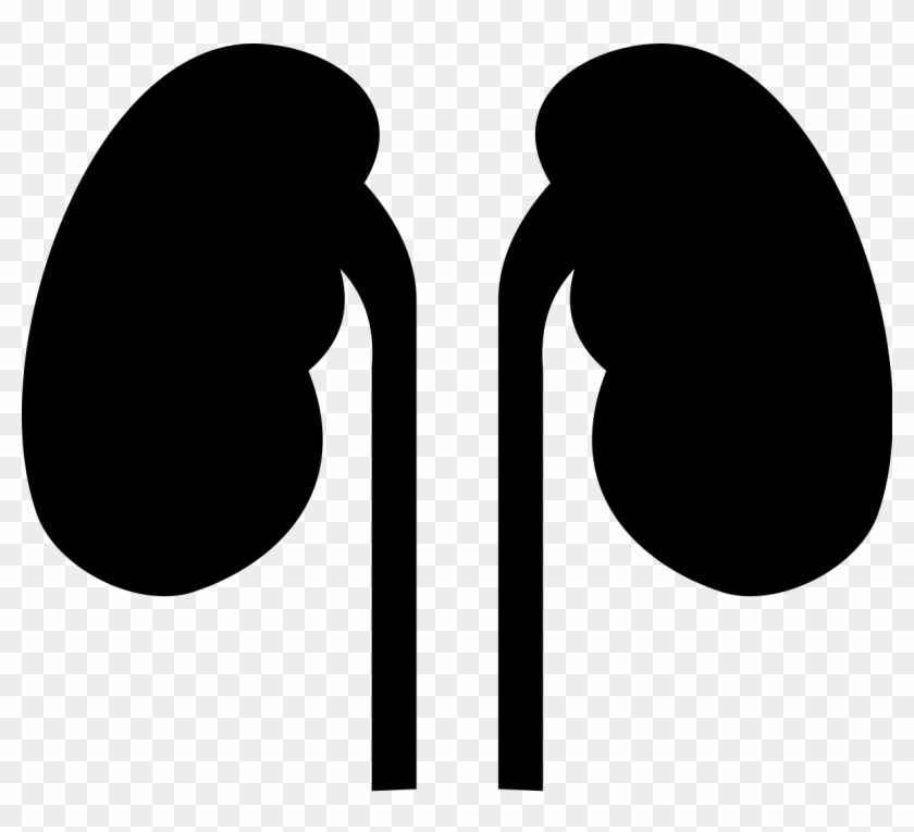 Kidneys Noun 524431 Cc - Kidney Svg Clipart