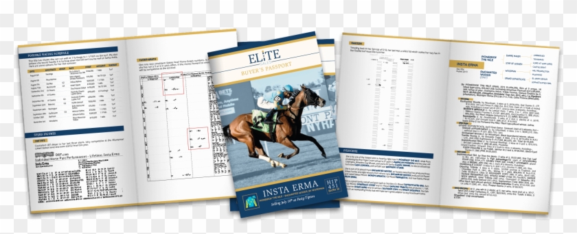 Buyers Passports Header - Stallion Clipart