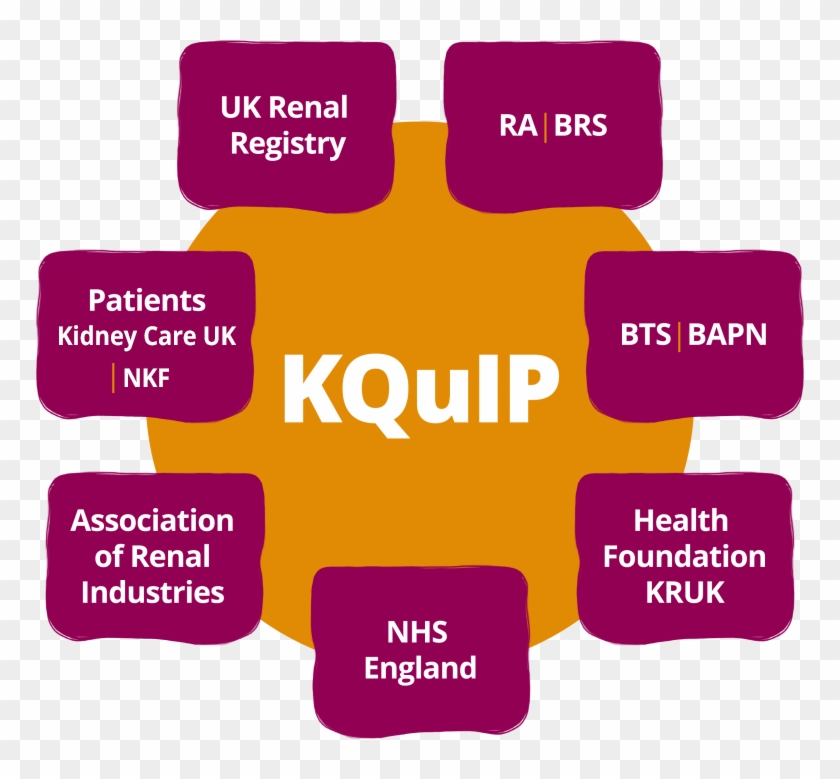 Supporting And Sharing Quality Improvement In Kidney - Lilac Clipart