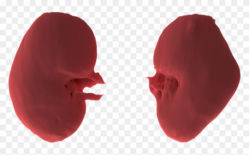 Load In 3d Viewer Uploaded By Anonymous - Illustration Clipart