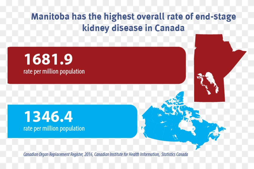 This Year's Reporting Features Data From 2006 To 2015 - Kidney Disease Statistics 2017 Clipart