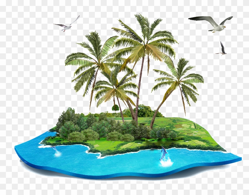 Isla Tropical Modelo Png Transparente - Coconut Tree Png Images With Transparent Background Clipart