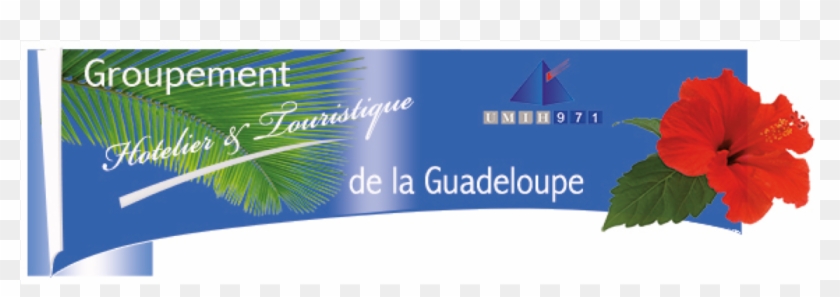 Ghtg Fah - Chinese Hibiscus Clipart