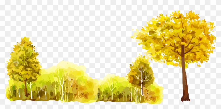 #ftestickers #watercolor #forest #trees #yellow #autumn - Painting Clipart #4243591
