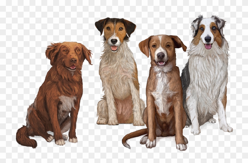 Dog Food - Perro Gosbi Clipart