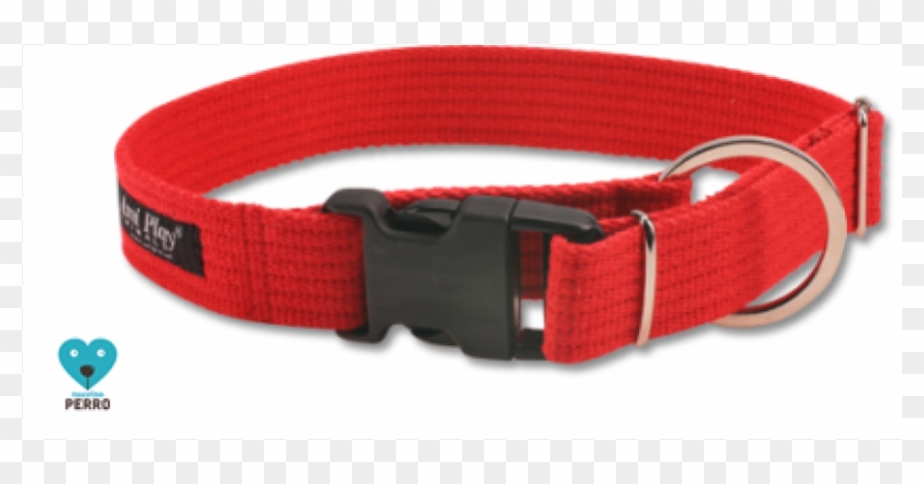 Collar, Para Perros, De Algodón, Ecológico, Anti Alérgico, - Buckle Clipart #4245889