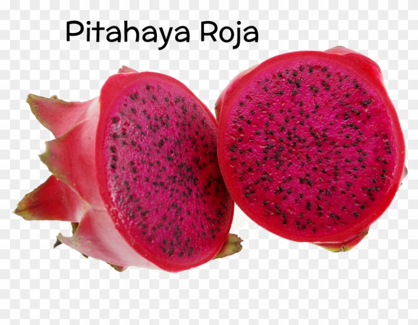 Teléfonos De Contacto - Transparent Red Dragon Fruit Png Clipart