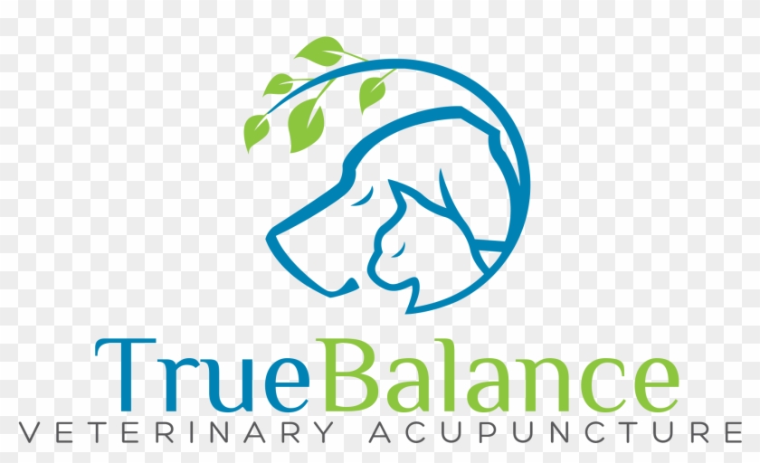 To Schedule Your Appointment For Your Pet In The Comfort - Graphic Design Clipart #4246878