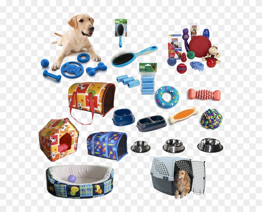 Nuestros Productos - Dog Toys Clipart #4246904