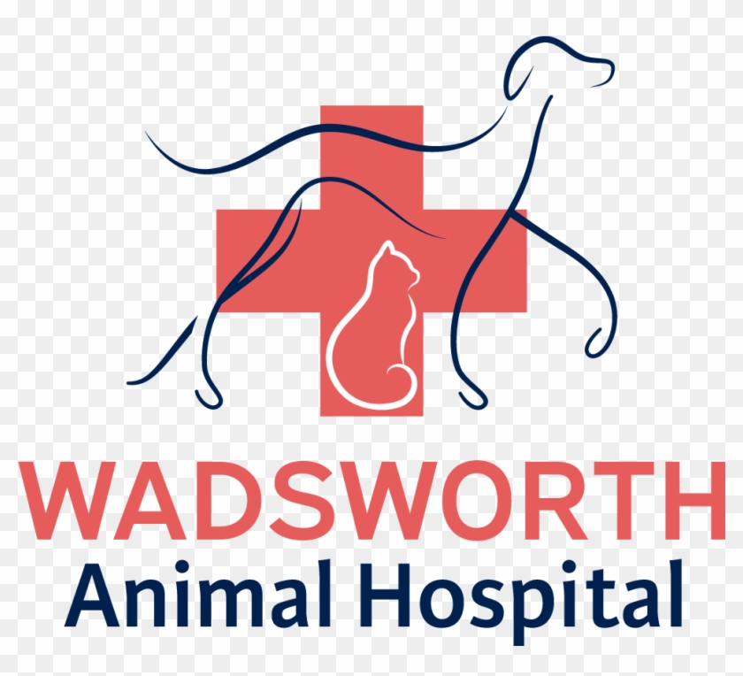 Graphic Design Clipart