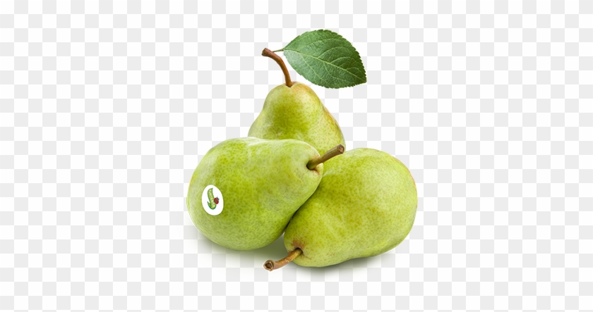 Green Pears Clipart