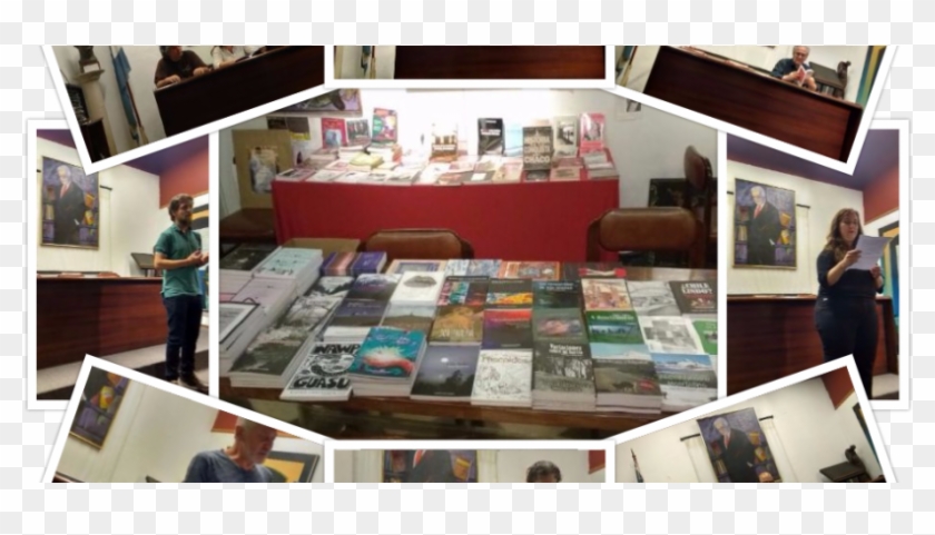 Maravillosa Noche De Ediciones De La Grieta - Collection Clipart