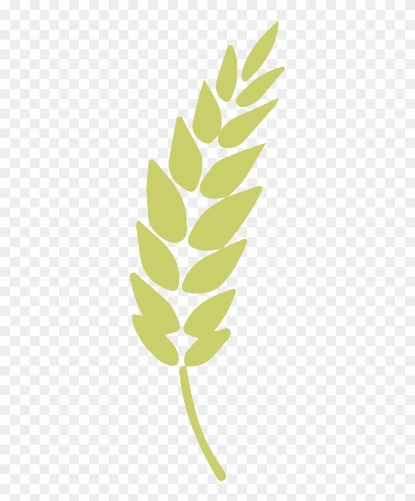 Trigo Blando - Twig Clipart #4247587