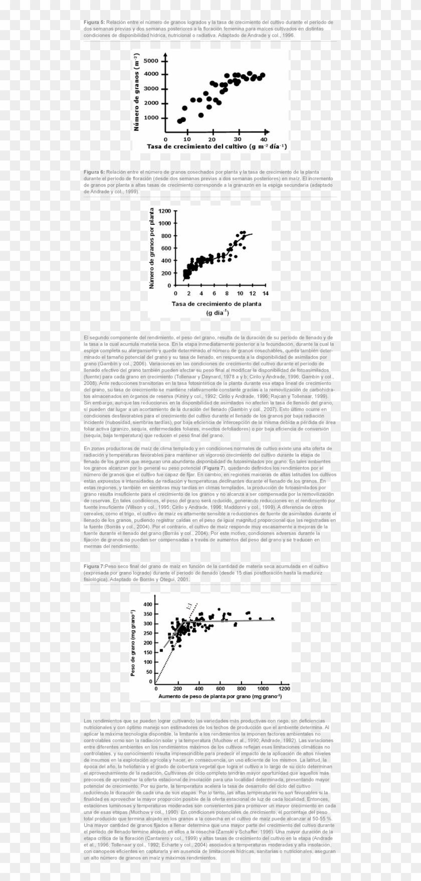 De Competencia Desfavorable Por Asimilados Con Respecto - Parallel Clipart