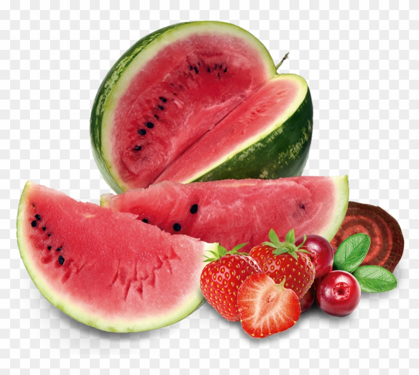 Proveedor Y Fabricante Con Experiencia - Owoce Letnie Clipart