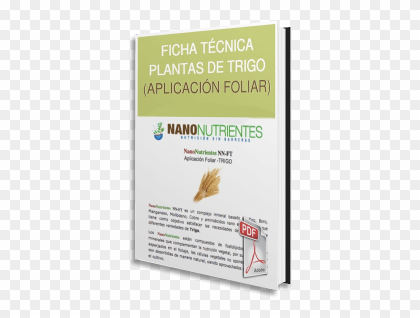 ¿comó Ayudan Los Nanonutrientes Al Cultivo De Trigo - Paper Clipart
