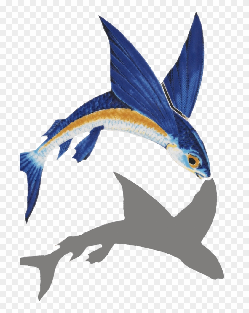 Little Tile Inc - Flying Fish No Background Clipart