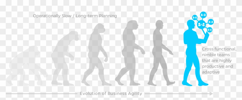 Clip Art Disc Golf - Png Download