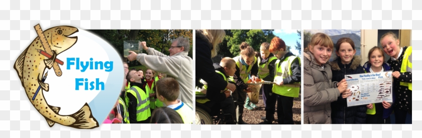 Reconnecting Children To Their Local Environment - Tree Clipart