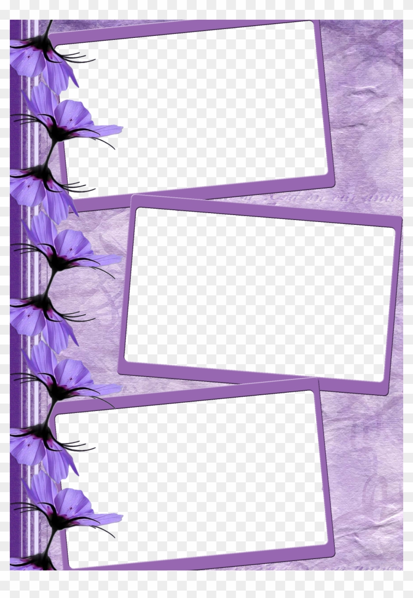 Image - Molduras Para 3 Clipart