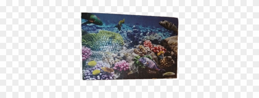Puzzle Underwater Fish Freetoedit - Red Sea Clipart #4249466