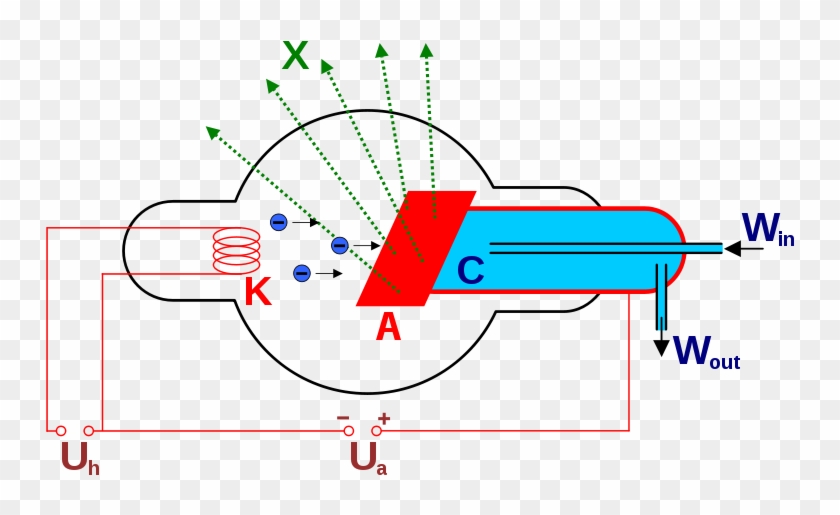 Os Raios X Na Faixa De Energia Utilizada Em Radiodiagnóstico - Roentgen Clipart #4249529
