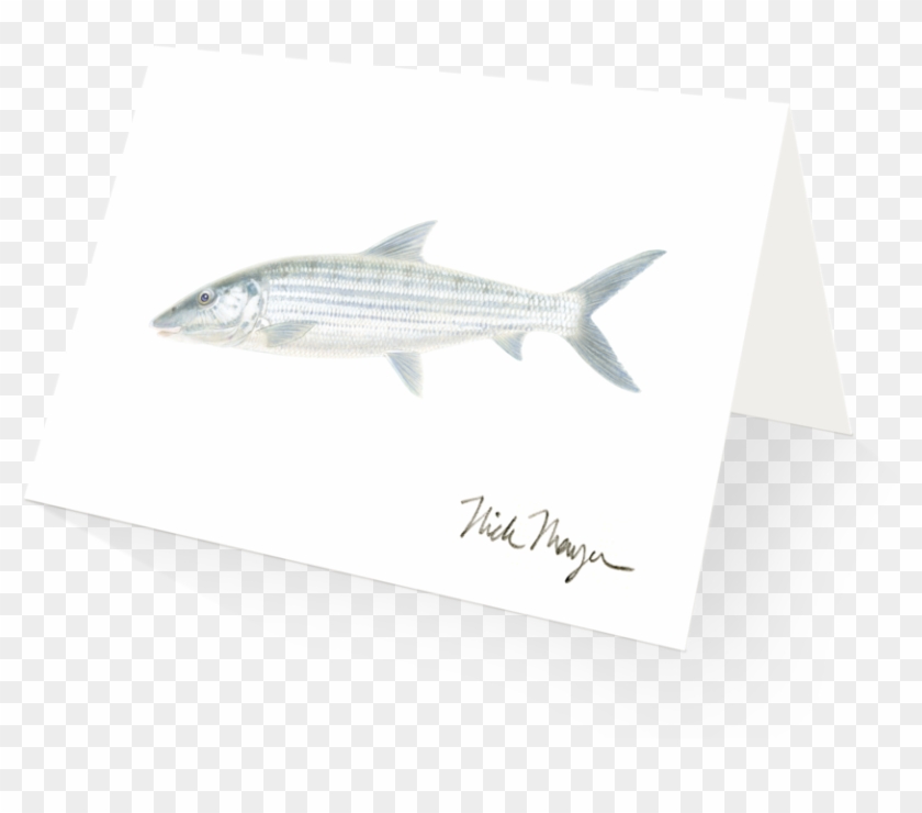 Transparent Bone Fish - Striper Bass Clipart #4249559
