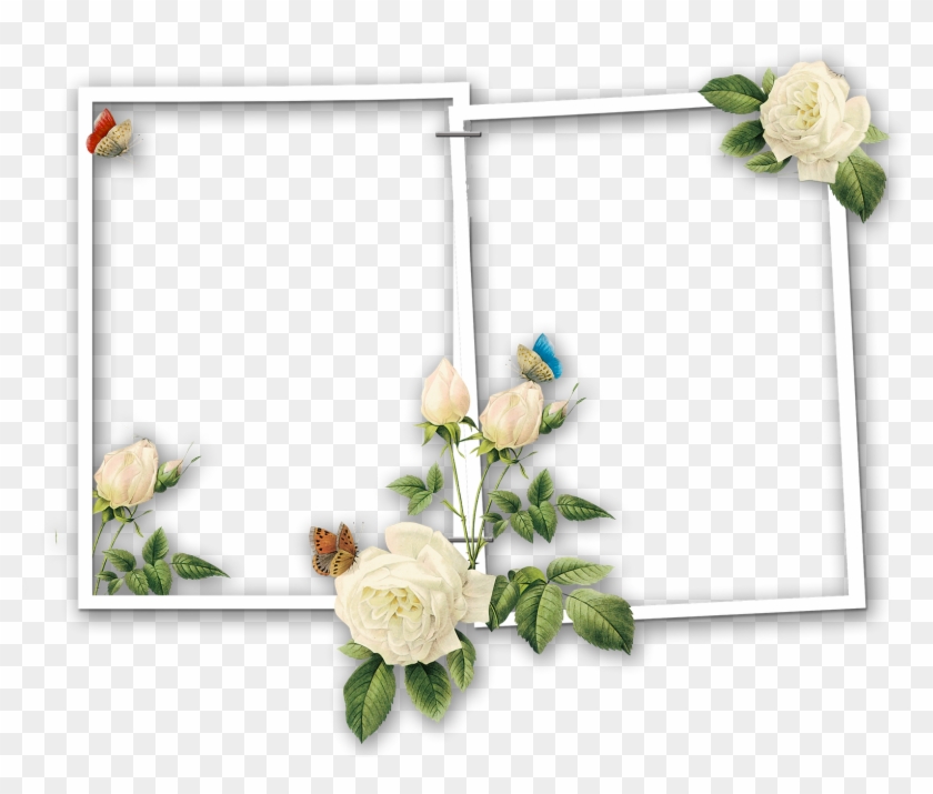 Coleção De 40 Molduras Png Ornamentais Para Fotos - Portaretratos Verdes Para Fotos Con Flores Clipart
