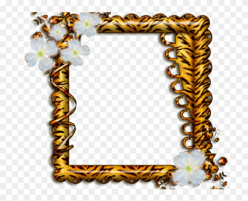 Moldura De Flores - Picture Frame Clipart