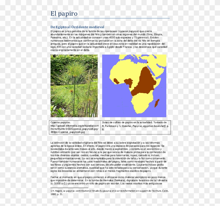 Pdf - Cyperus Papyrus Clipart #4249876
