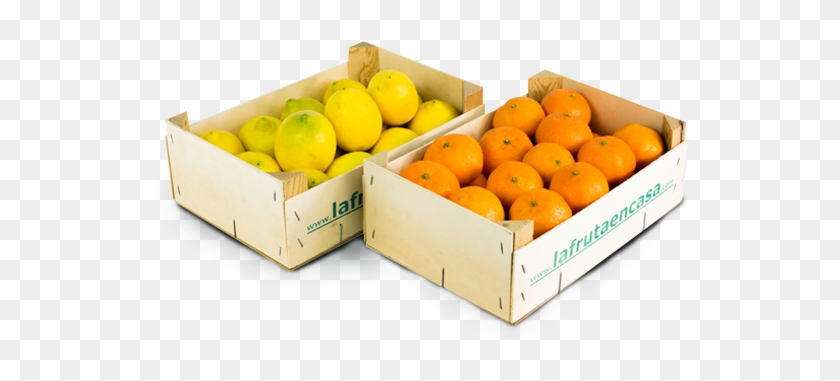 Combinación De Limones Y Mandarinas - Rangpur Clipart #4250806