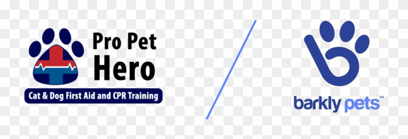 We Spoke With Natasha, Our Long-tenured Dog Walker - Conifer Grove School Clipart