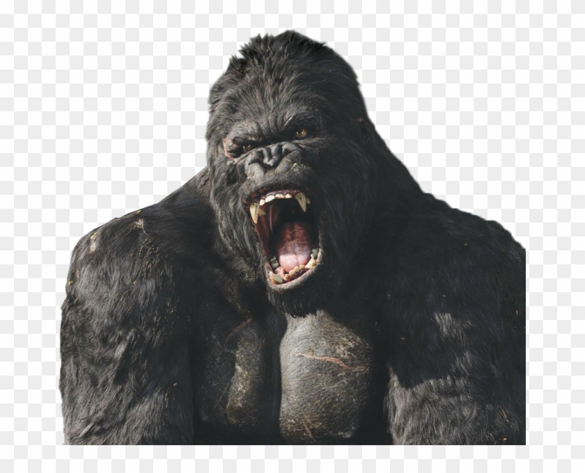 King Kong - King Kong Movie Clipart