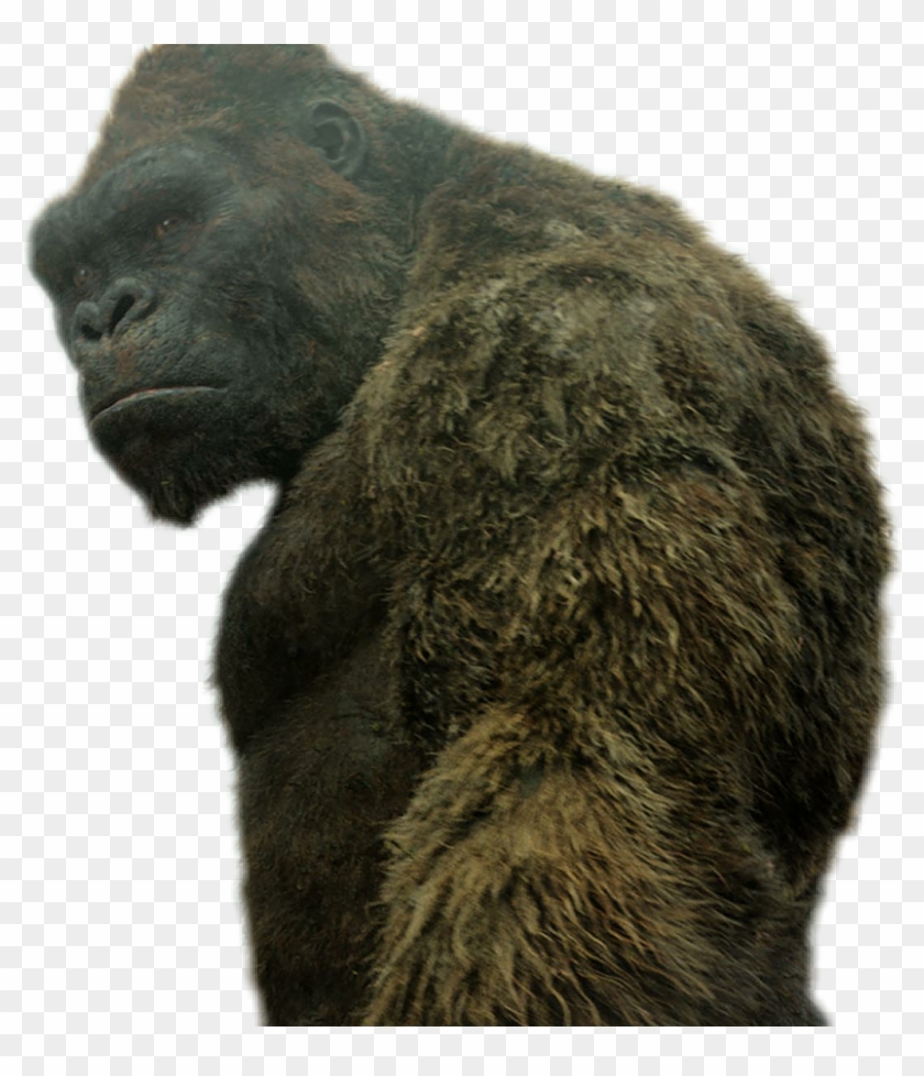 #king Kong - Godzilla King Kong Clipart #4251146